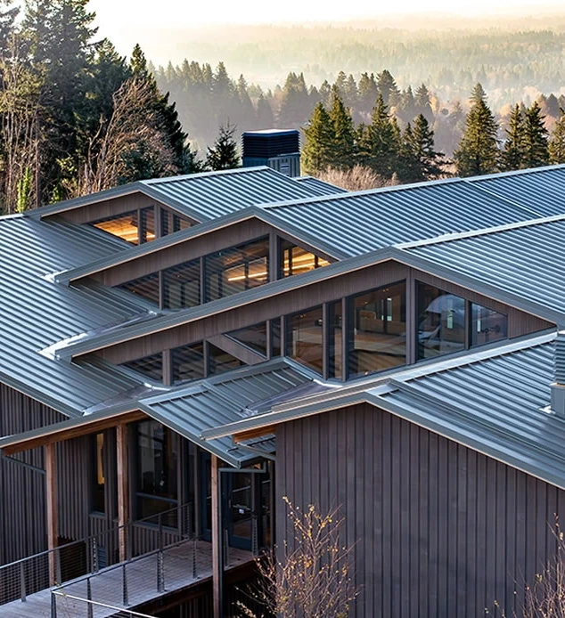 A wide, high-angle architectural shot of a large modern residential complex featuring complex metal roofs and multiple skylights.